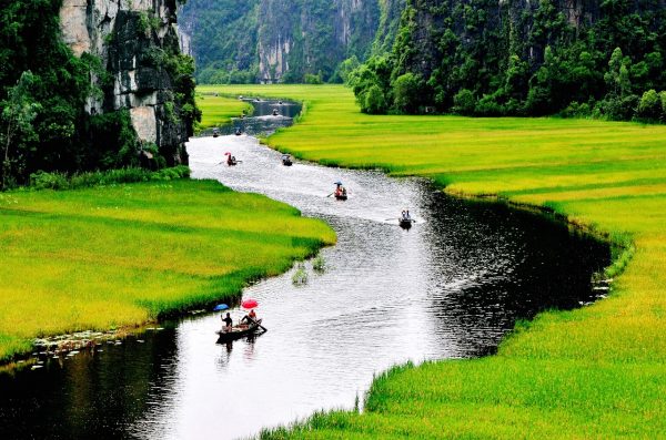 HOA LƯ – TAM COC RICE FIELD BOAT TRIP BY LIMOUSINE