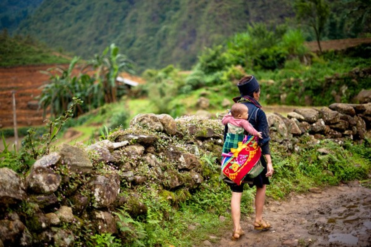 Sapa Tour: Visit Cat Cat, Lao Chai - Ta Van and transfer by Bus 2 days/ 1 night ​