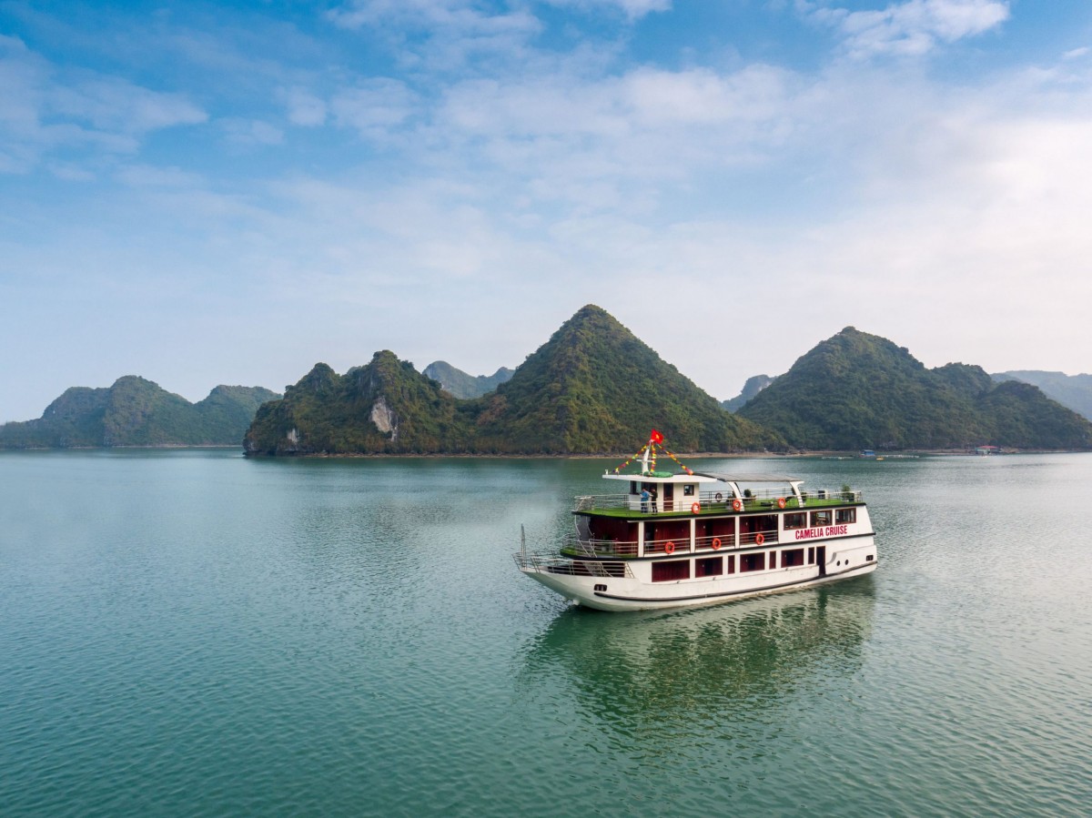 Party Cruise Halong Bay